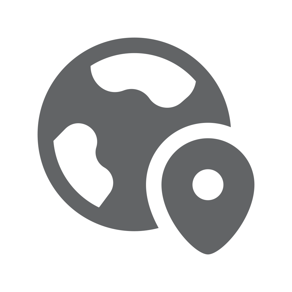 Gray icon of a globe with a location symbol on a white background