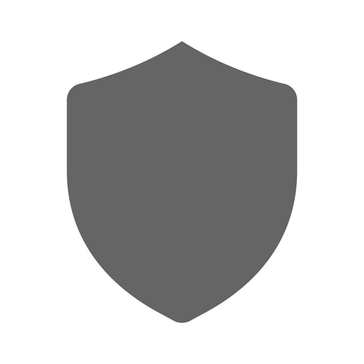 A minimalist gray shield icon centered on a solid white background, representing a security or protection theme.